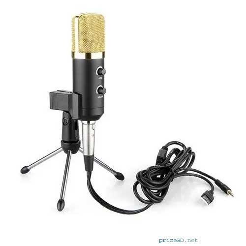 BM100 FX Professional Series Condenser Microphone