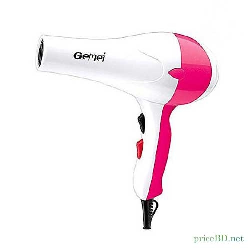 Gemei Hair Dryer GM-1701