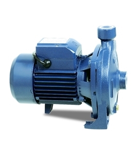 RFL Water Pump Centrifugal 1