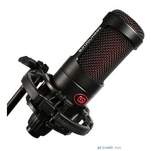 Seeknature T2058 Professional Condenser Microphone