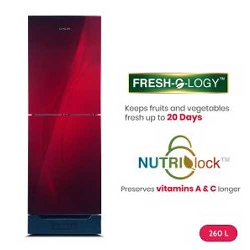 Singer Refrigerator Glass 260 Liter (NutriLock-Red)
