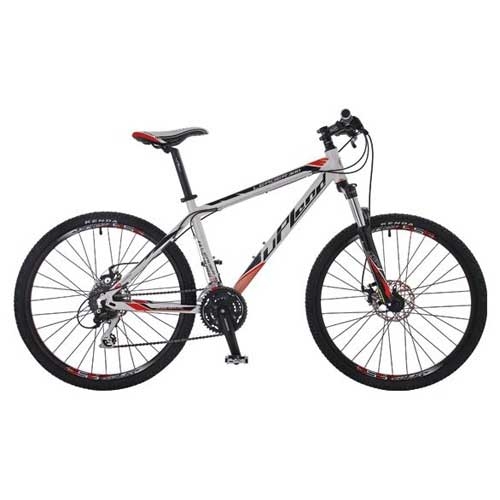 Upland Bicycle Leader 300